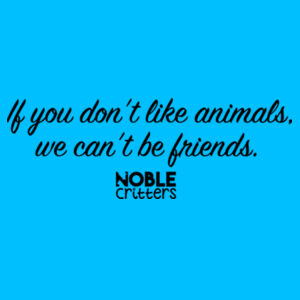 WE CAN'T BE FRIENDS - PREMIUM WOMEN'S FITTED RACERBACK TANK TOP - TURQUOISE Design
