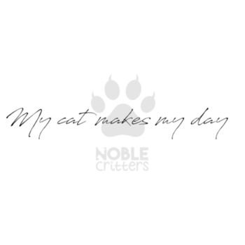 MY CAT MAKES MY DAY - WOMEN'S PREMIUM FITTED S/S V-NECK TEE - WHITE Design