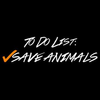 TO DO LIST - PREMIUM ADJUSTABLE MESH BACK HAT - BLACK Design